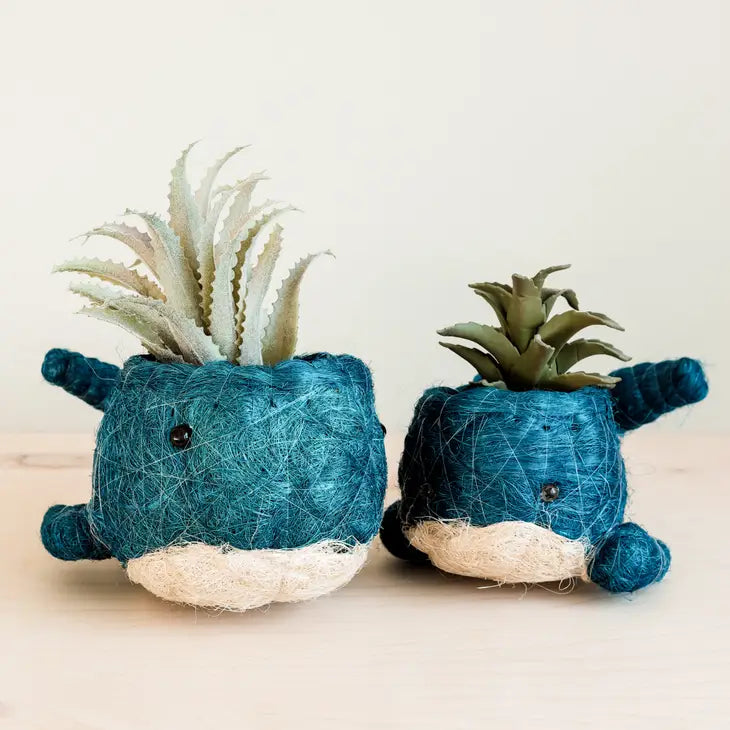 whale planter