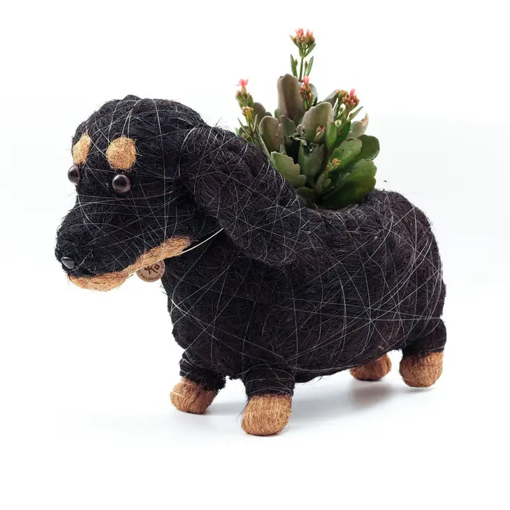 dachshund planter xs