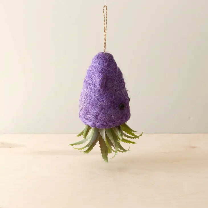 squid hanging planter for air plants