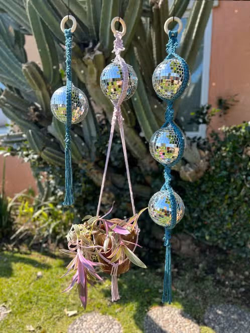Disco Plant Hanger