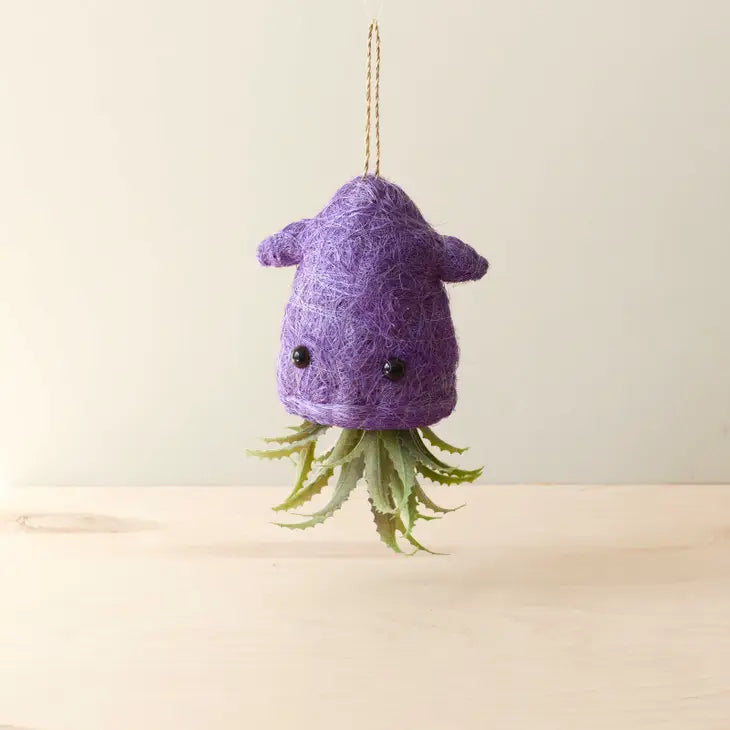 squid hanging planter for air plants