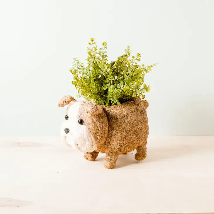 english bulldog planter 4