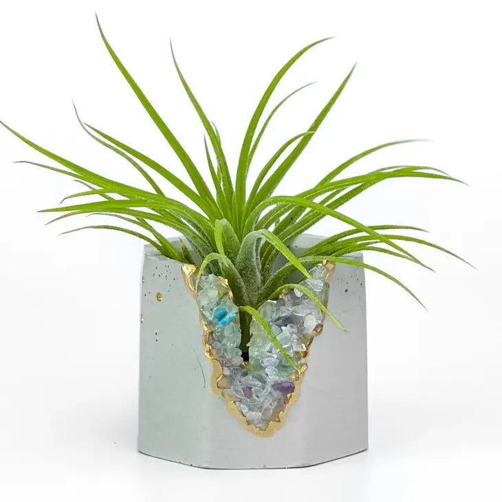 fluorite geode planter air plant holder succulent pot