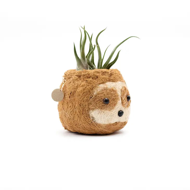 sloth planter