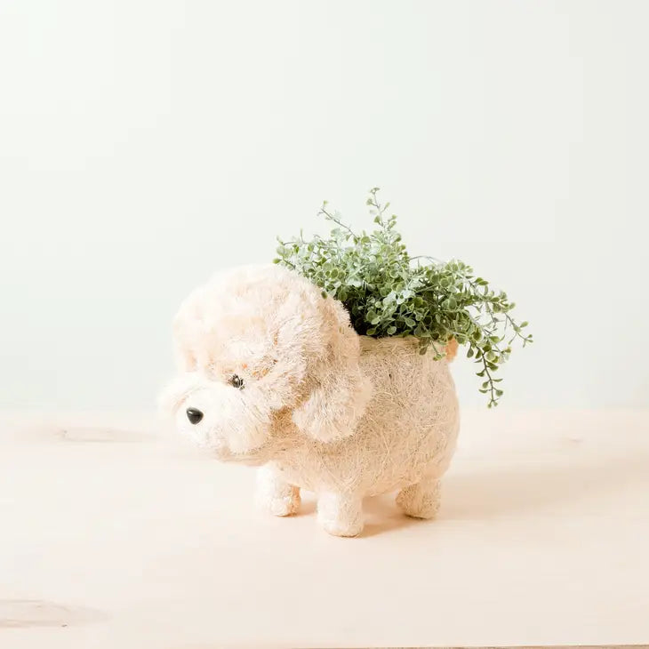 poodle planter 5