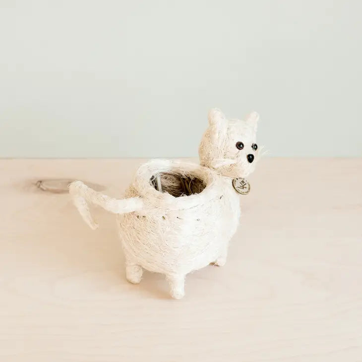 cat planter