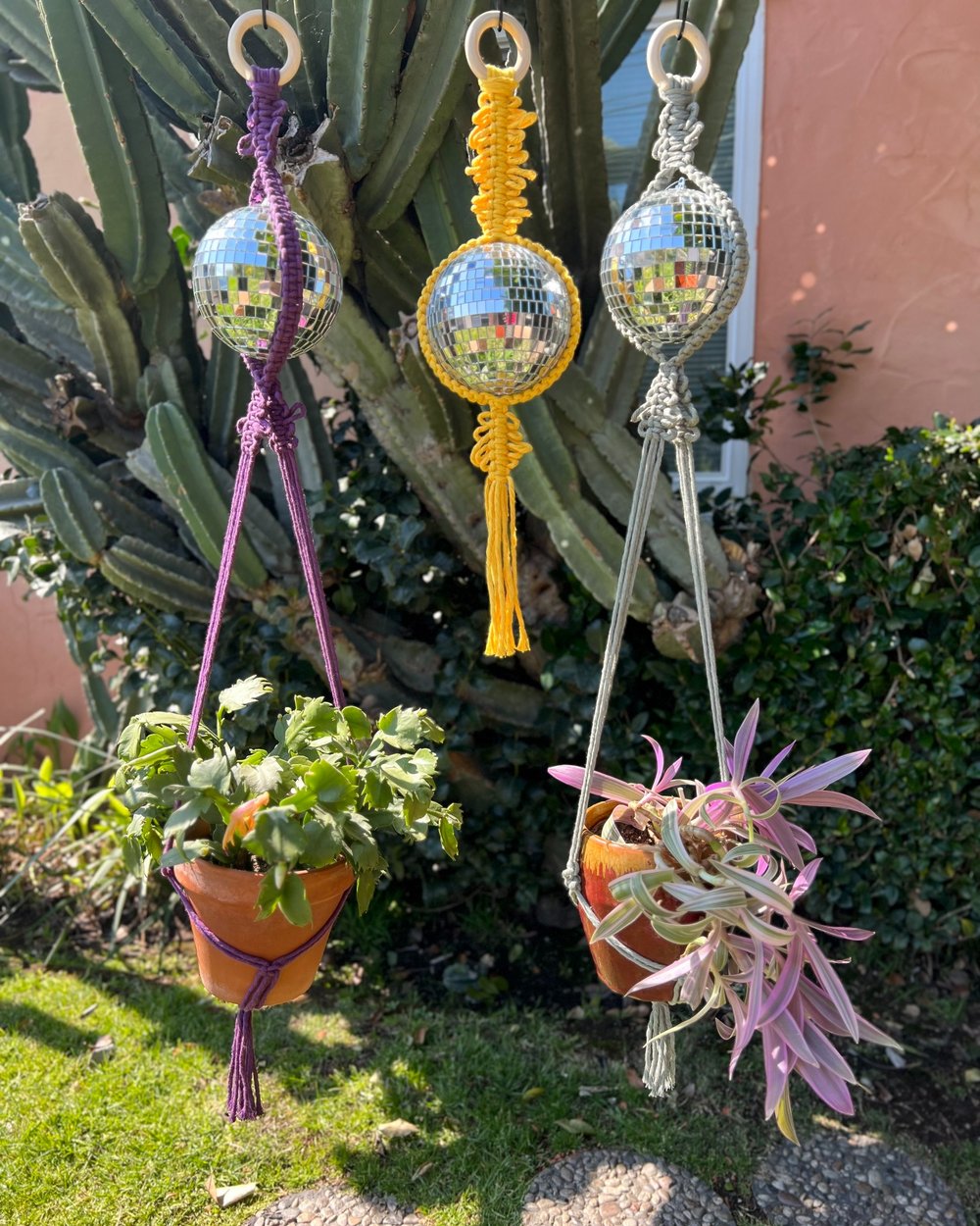 disco plant hanger