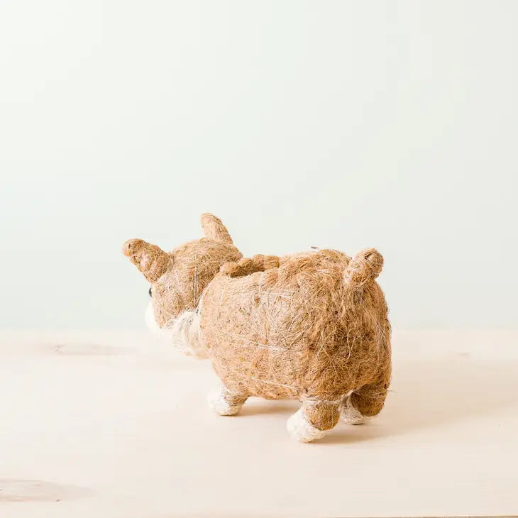 corgi planter for xs plants