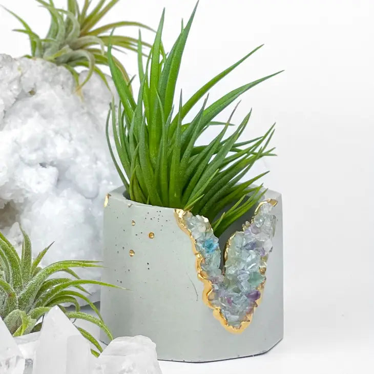 fluorite geode planter air plant holder succulent pot
