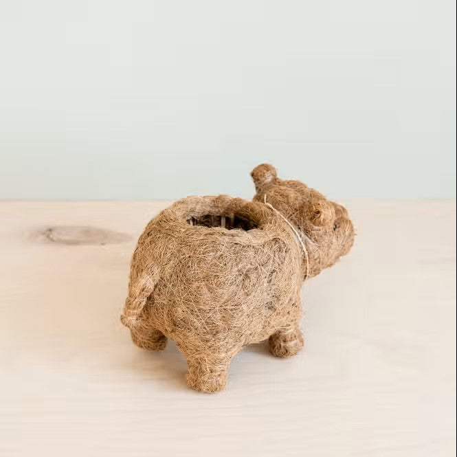 Baby Hippo Planter for XS Plant