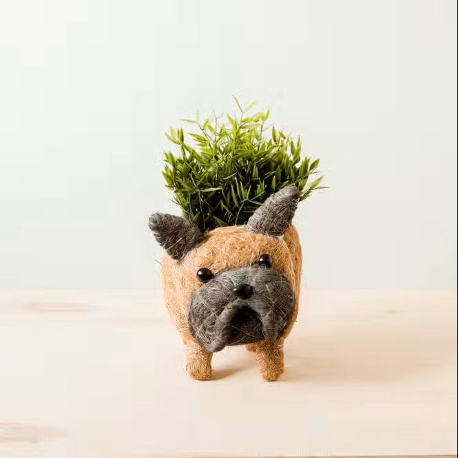 French Bulldog Planter for XS Plant