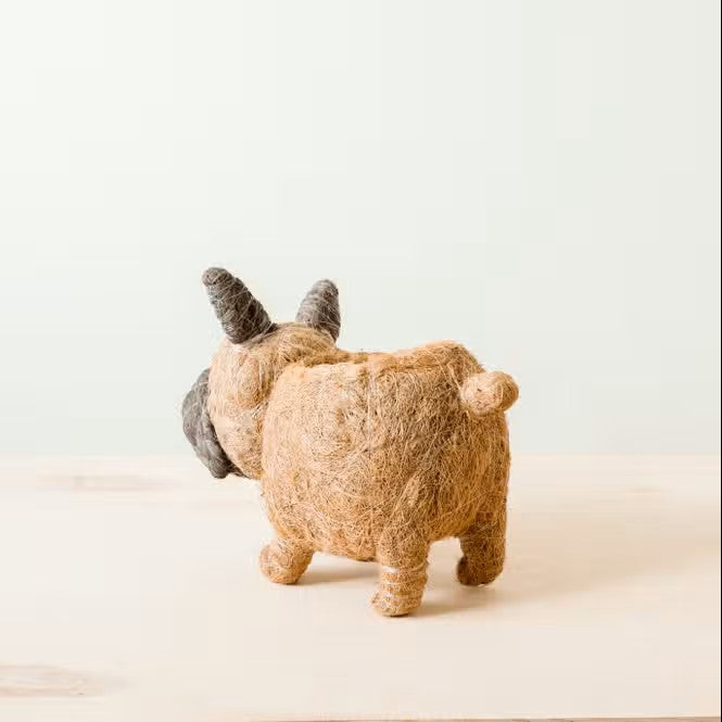 French Bulldog Planter for XS Plant