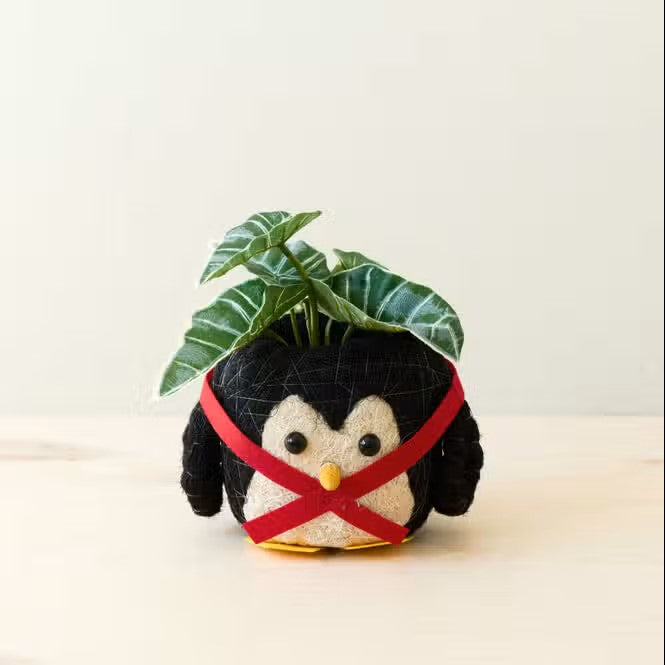 Penguin Planter for XS Plant