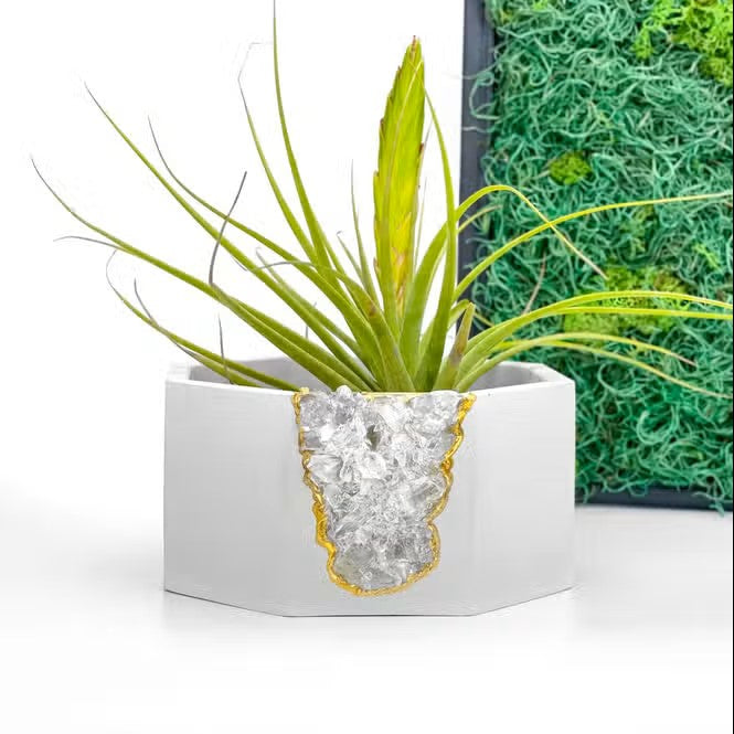 Clear Quartz Geode Planter