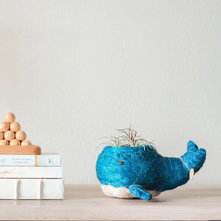 whale planter