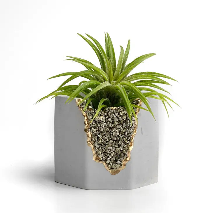 pyrite geode planter air plant holder succulent pot