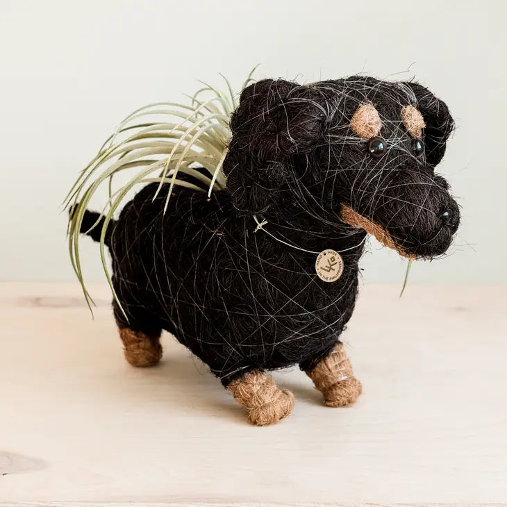 dachshund planter xs
