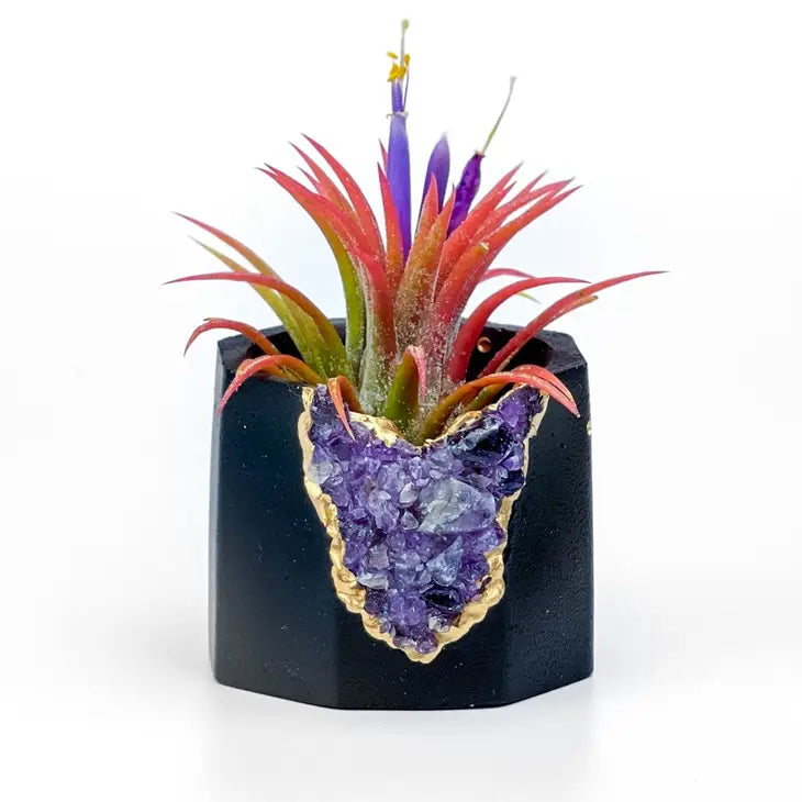 black amethyst geode planter air plant holder succulent pot