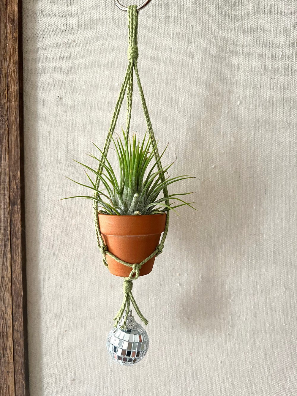 disco air plant hanger