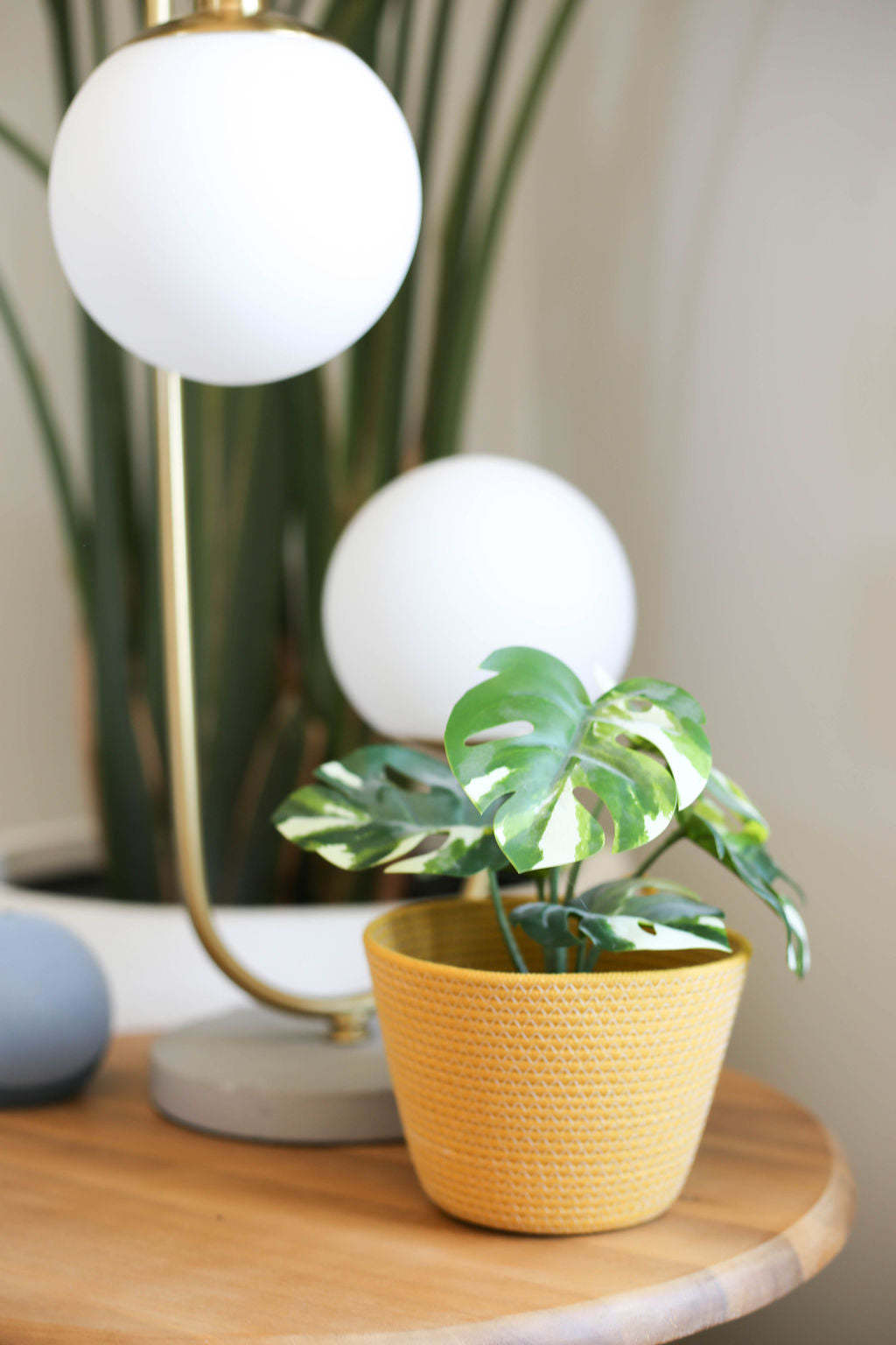 rope standing plant basket plant pot cover 4in 6in 8in size off white minimalist style