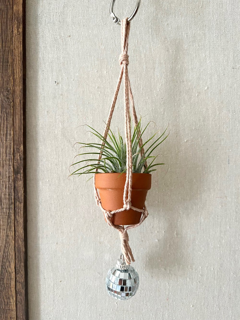 disco air plant hanger
