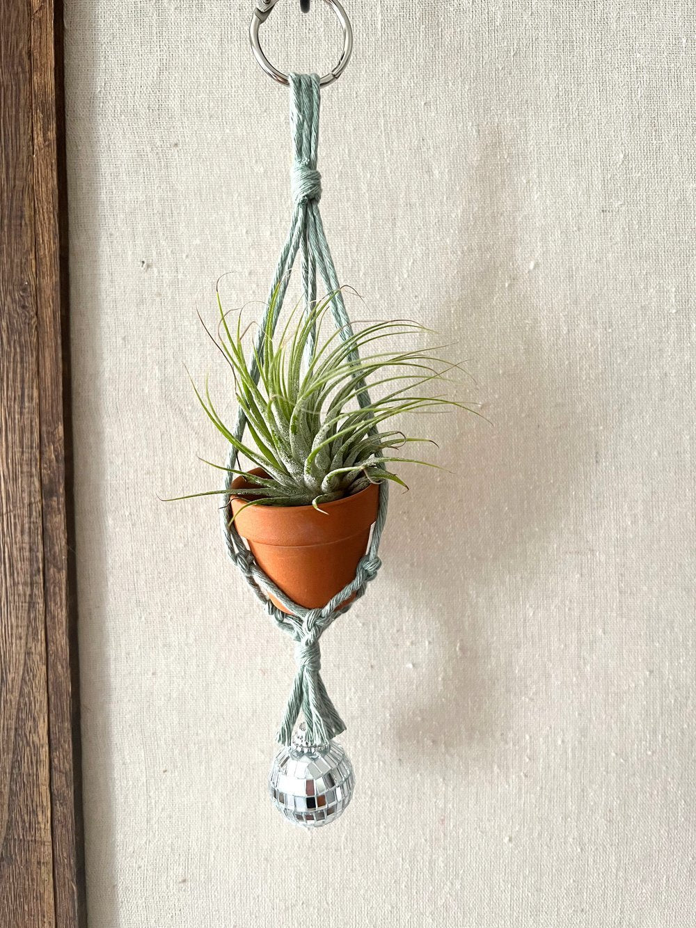Disco Air Plant Hanger