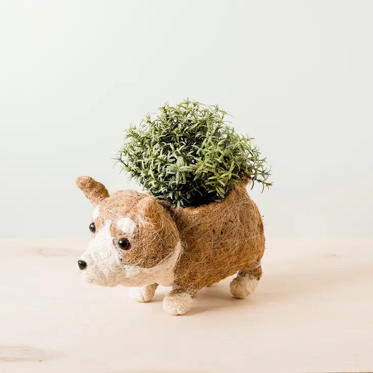 corgi planter for xs plants