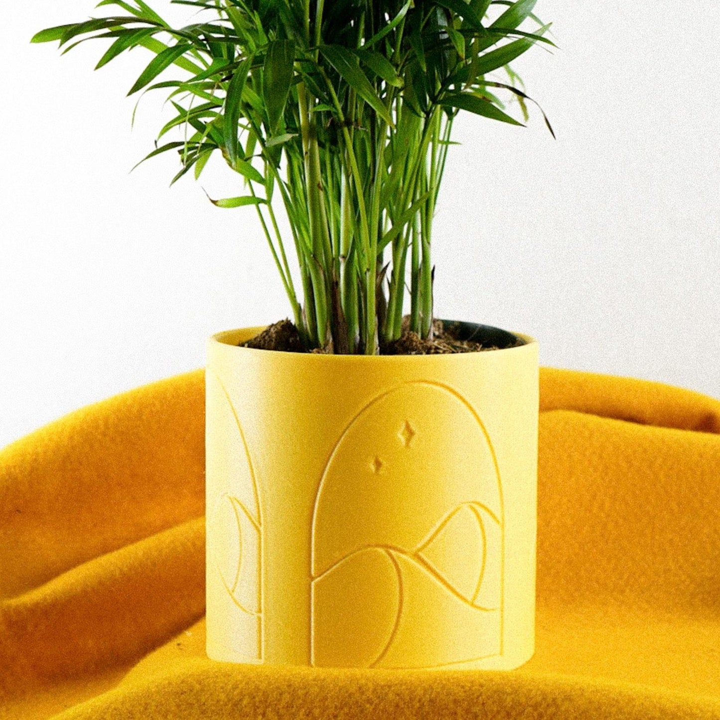 Desert Scape Planter