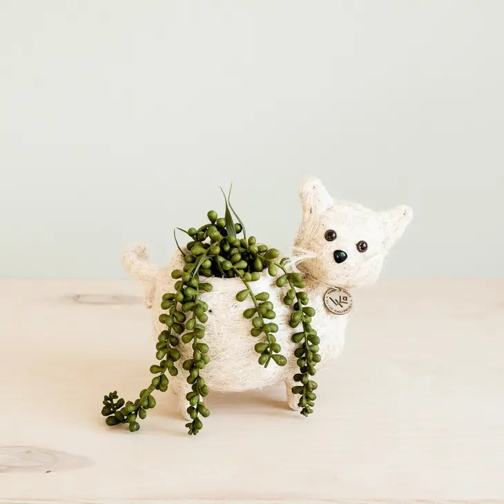 cat planter