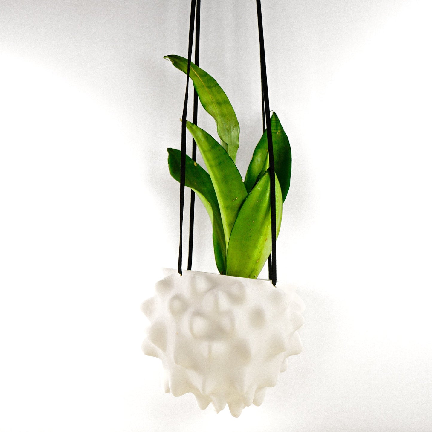 Exotic Orb Hanging Planter