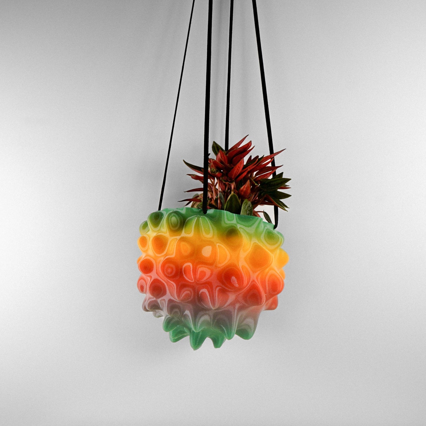Exotic Orb Hanging Planter
