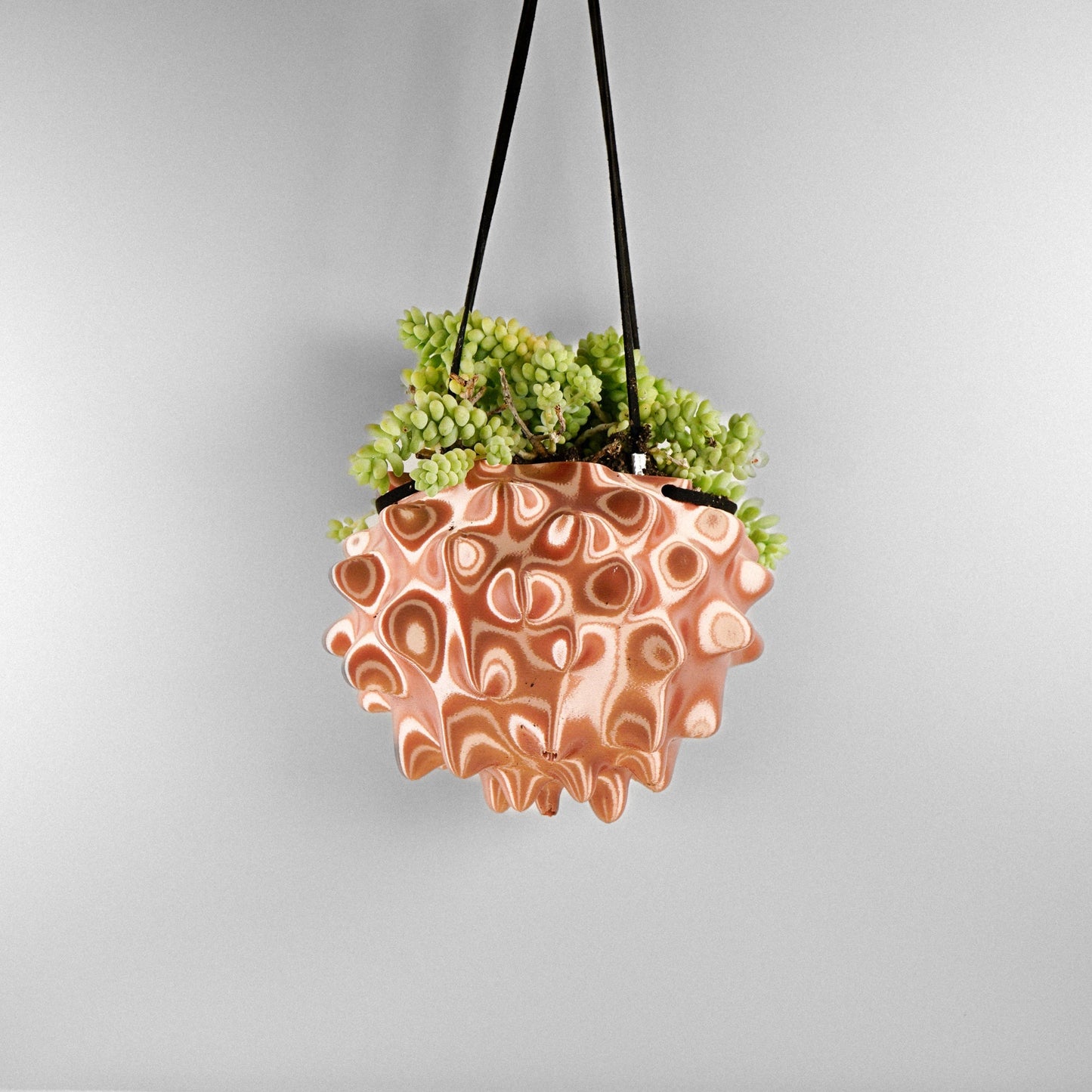 Exotic Orb Hanging Planter