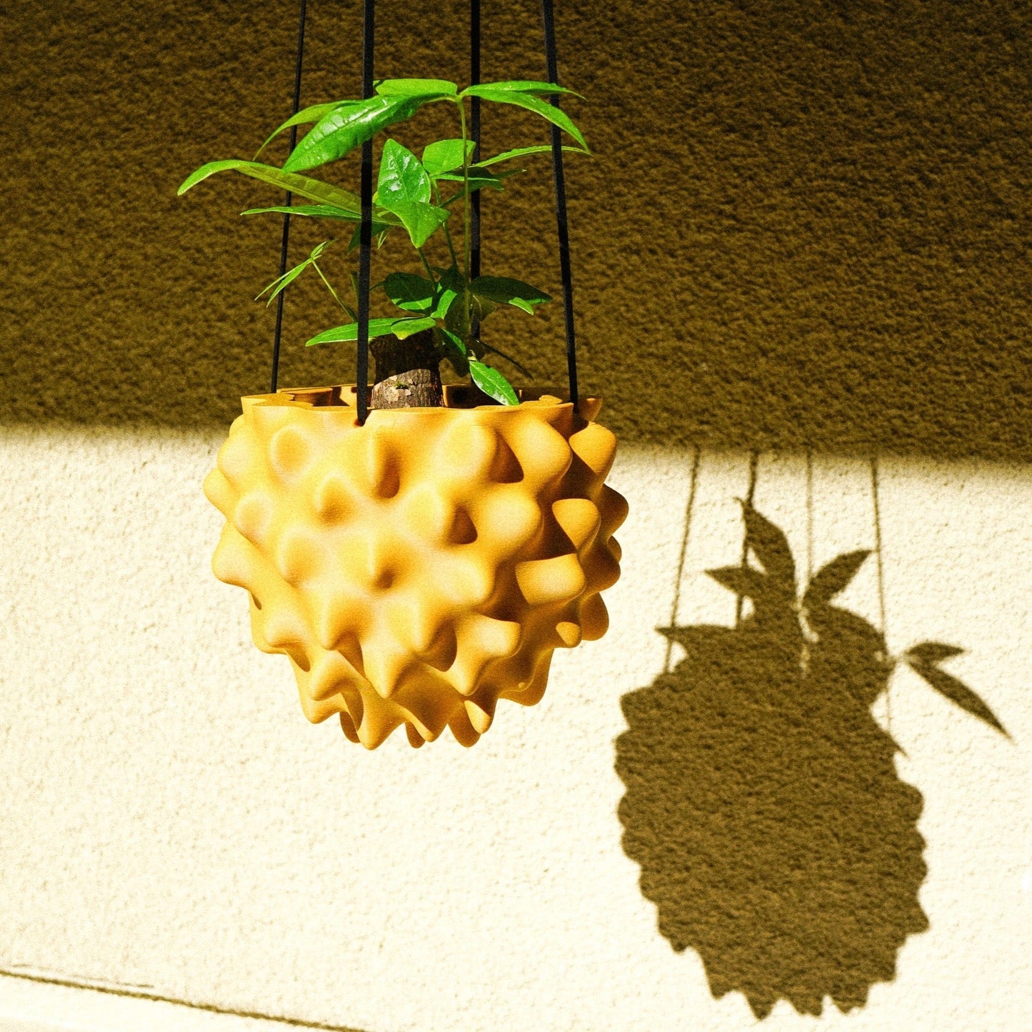 Exotic Orb Hanging Planter
