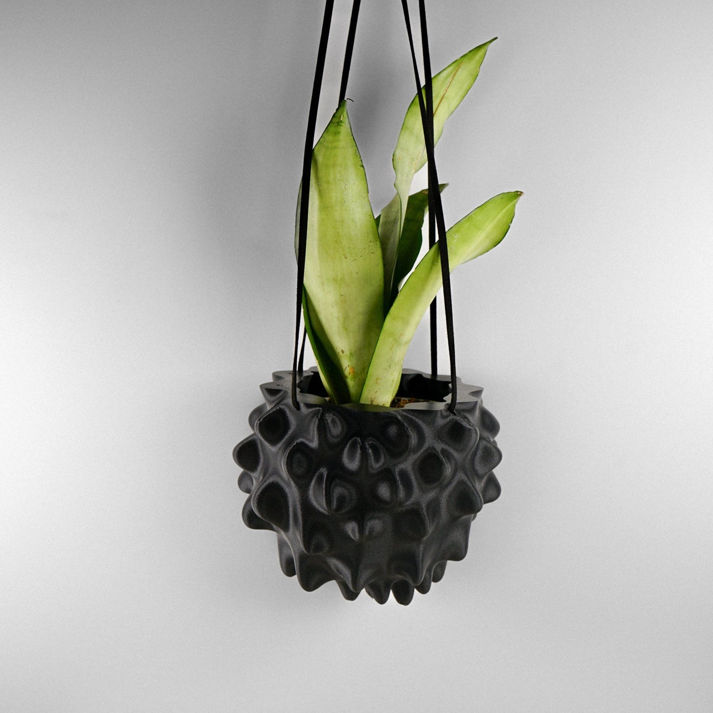 Exotic Orb Hanging Planter