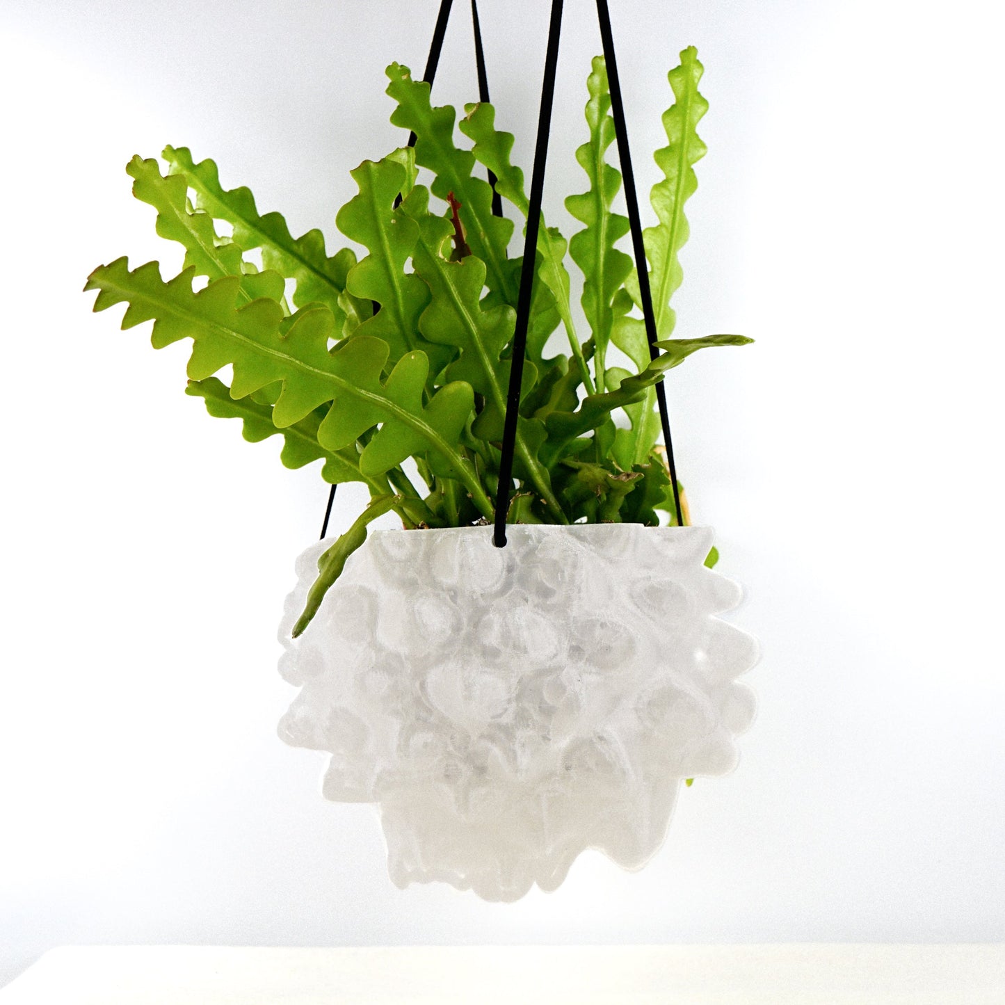Exotic Orb Hanging Planter