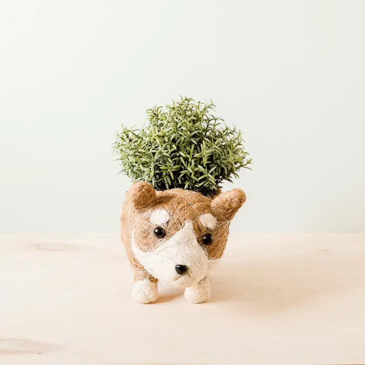 corgi planter for xs plants