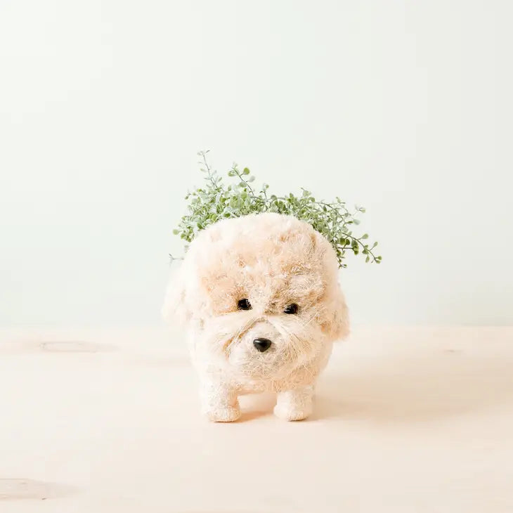 poodle planter 5