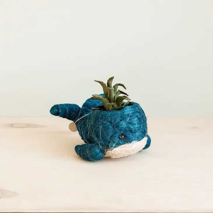 whale planter