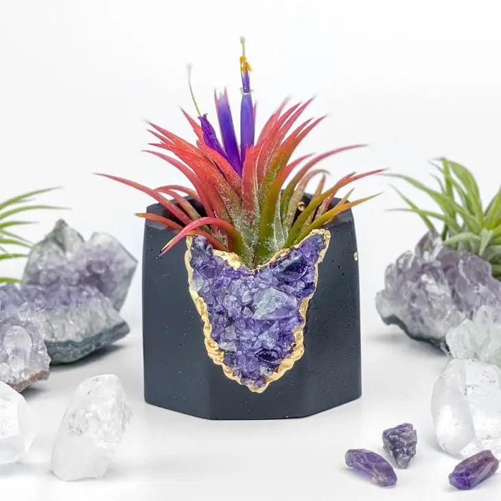 black amethyst geode planter air plant holder succulent pot