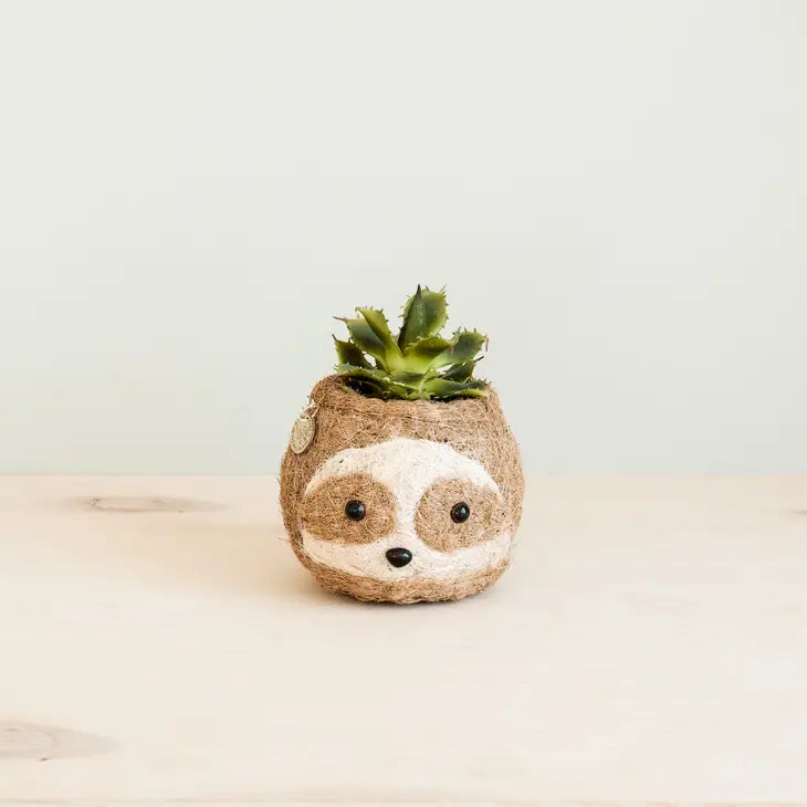 sloth planter