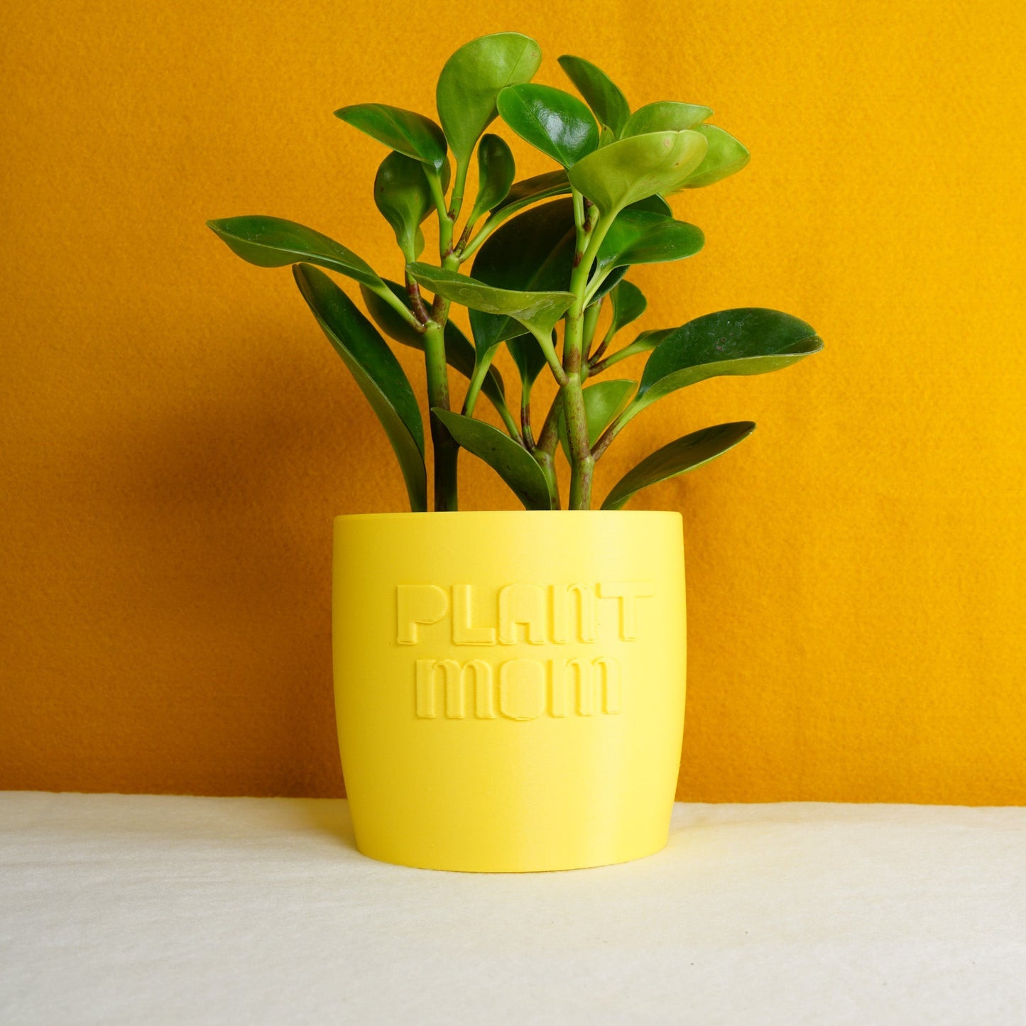 Plant Mom Planter