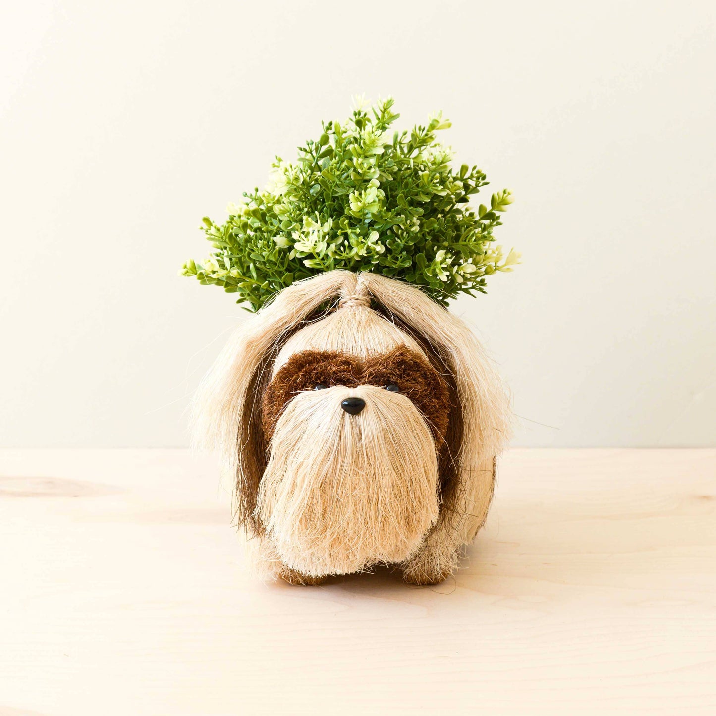 Shih Tzu Planter for XS Plant