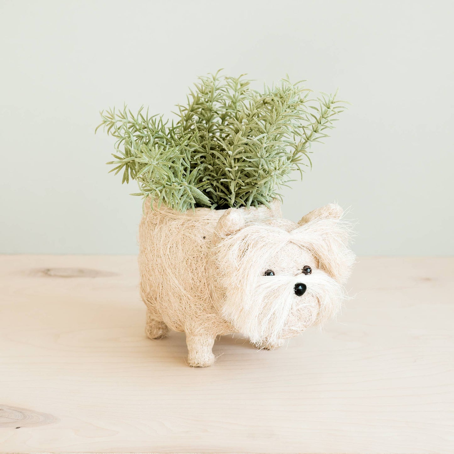 Westie Planter for XS Plant