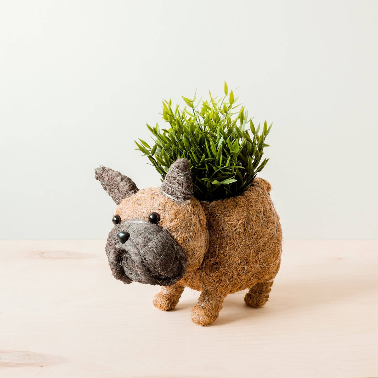 French Bulldog Planter for XS Plant