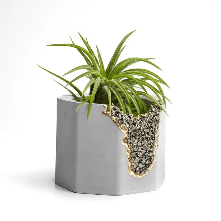 pyrite geode planter air plant holder succulent pot