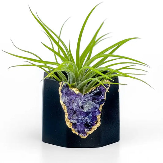 black amethyst geode planter air plant holder succulent pot