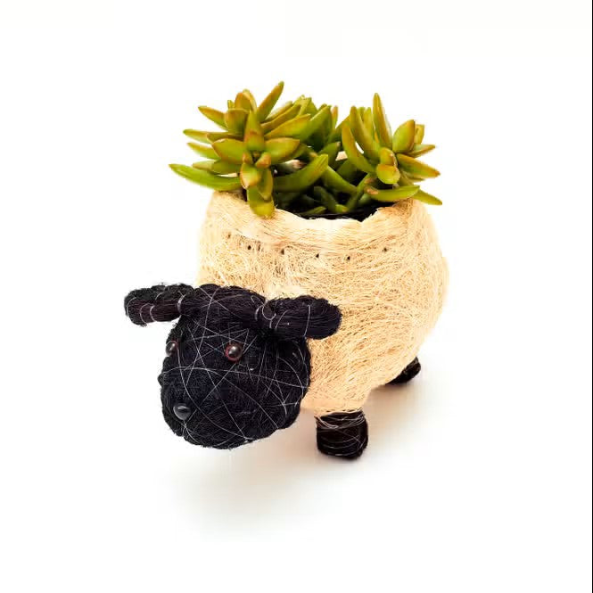 Sheep Planter for XS Plant