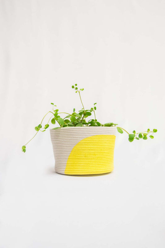 curved colour block standing plant basket minimalist style plant pot cover 4in 6in 8in 10in