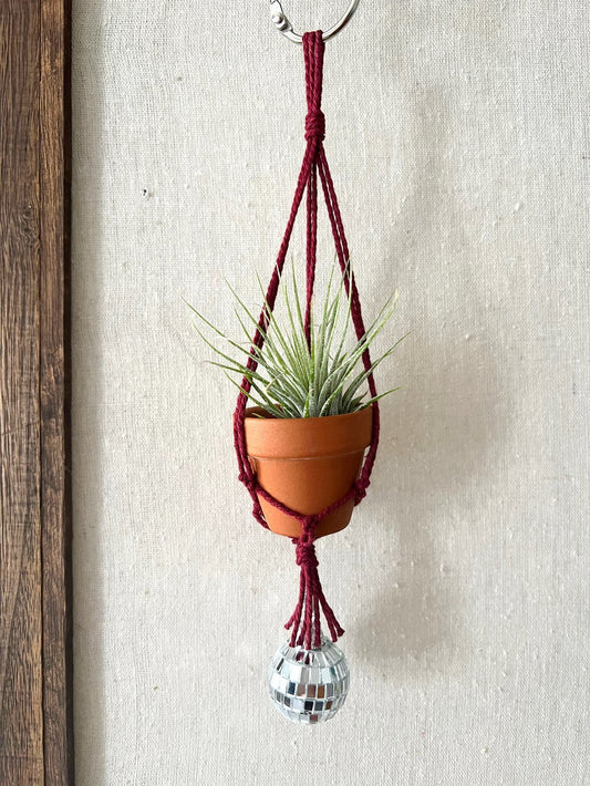 disco air plant hanger