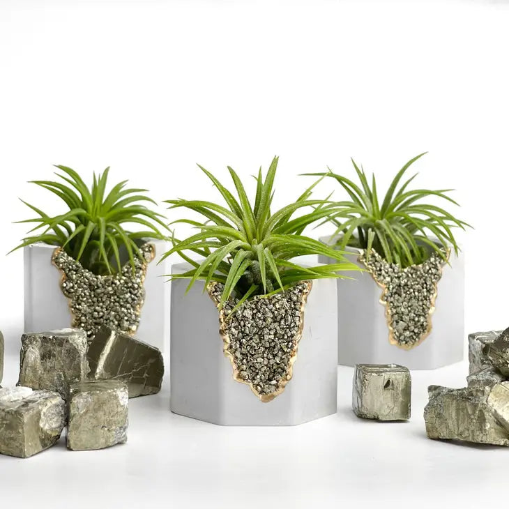 pyrite geode planter air plant holder succulent pot